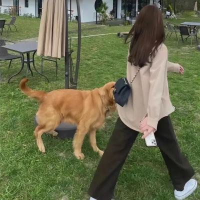 保姆先生